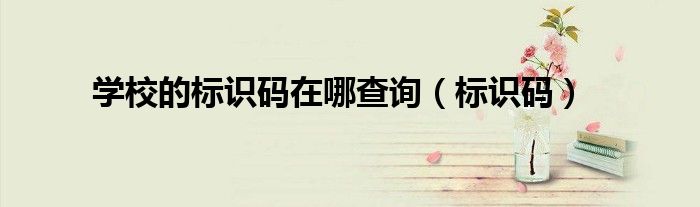 学校的标识码在哪查询（标识码）