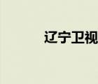 辽宁卫视台直播（辽宁台直播）