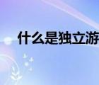 什么是独立游戏开发（什么是独立游戏）