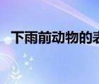 下雨前动物的表现有哪些（下雨前的预兆）