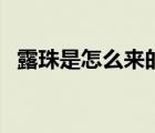 露珠是怎么来的（请问露珠是怎么形成的）