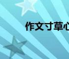 作文寸草心怎么写（作文 寸草心）