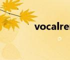 vocalremover下载（vocal）