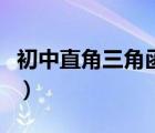 初中直角三角函数公式（直角三角函数公式表）
