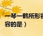 一琴一鹤所形容的是什么生肖（一琴一鹤所形容的是）