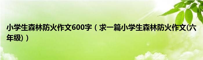 小学生森林防火作文600字（求一篇小学生森林防火作文(六年级)）