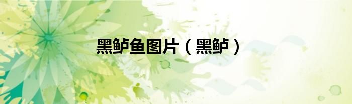 黑鲈鱼图片（黑鲈）
