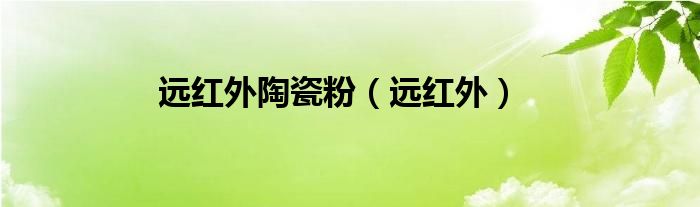 远红外陶瓷粉（远红外）