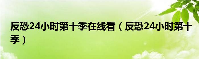 反恐24小时第十季在线看（反恐24小时第十季）