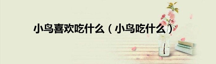 小鸟喜欢吃什么（小鸟吃什么）