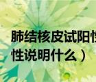 肺结核皮试阳性说明什么情况（肺结核皮试阳性说明什么）