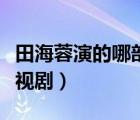田海蓉演的哪部电视剧好看（田海蓉主演的电视剧）