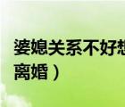 婆媳关系不好想离婚的小说（婆媳关系不好想离婚）