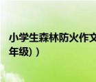 小学生森林防火作文600字（求一篇小学生森林防火作文(六年级)）