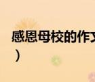 感恩母校的作文800字高中（感恩母校的作文）
