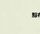 黥布怎么读（黥布）
