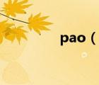 pao（说一说pao的简介）