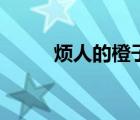 烦人的橙子中文版（烦人的橙子）
