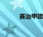 赛治甲巯咪唑片副作用（赛治）