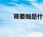 肾萎缩是什么原因引起的（肾萎缩）