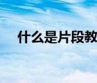 什么是片段教学PPT（什么是片段教学）