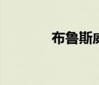 布鲁斯威利斯电影（布鲁斯）