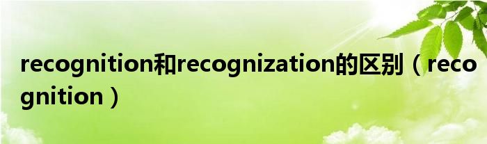 recognition和recognization的区别（recognition）