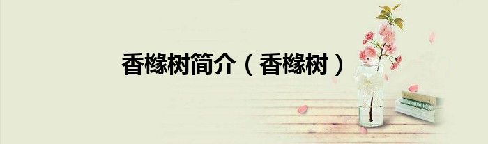 香橼树简介（香橼树）