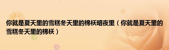 你就是夏天里的雪糕冬天里的棉袄暗夜里（你就是夏天里的雪糕冬天里的棉袄）