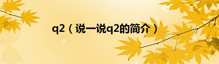 q2（说一说q2的简介）