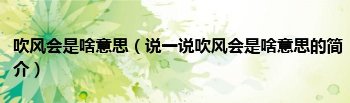 吹风会是啥意思（说一说吹风会是啥意思的简介）