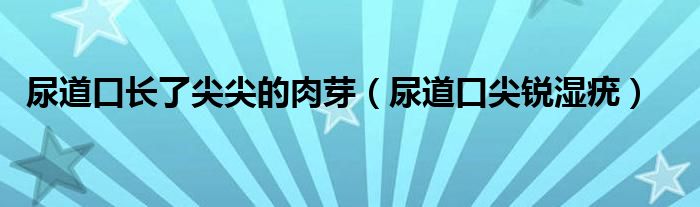 尿道口长了尖尖的肉芽（尿道口尖锐湿疣）