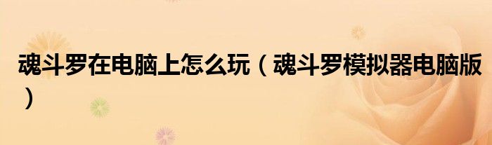 魂斗罗在电脑上怎么玩（魂斗罗模拟器电脑版）