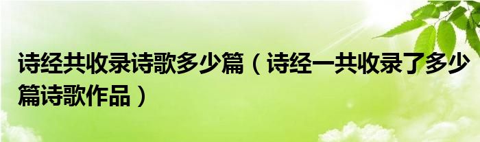 诗经共收录诗歌多少篇（诗经一共收录了多少篇诗歌作品）