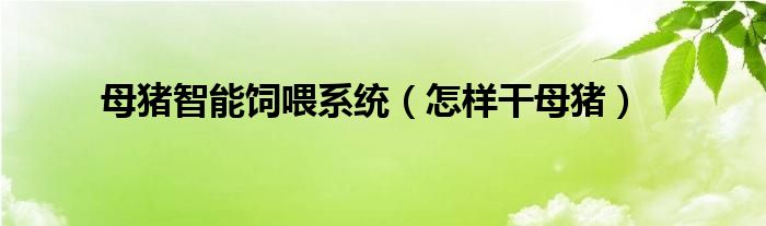 母猪智能饲喂系统（怎样干母猪）
