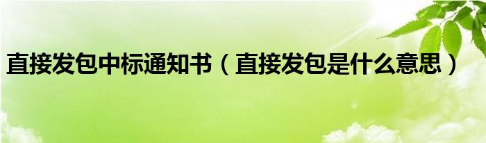 直接发包中标通知书（直接发包是什么意思）