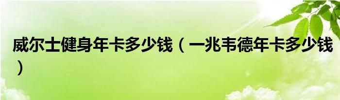威尔士健身年卡多少钱（一兆韦德年卡多少钱）