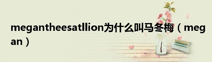 megantheesatllion为什么叫马冬梅（megan）