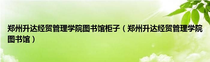 郑州升达经贸管理学院图书馆柜子（郑州升达经贸管理学院图书馆）