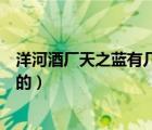 洋河酒厂天之蓝有几个系列酒（洋河天之蓝是哪一天年上市的）