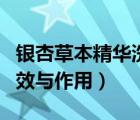 银杏草本精华洗发露怎么样（草本银杏茶的功效与作用）