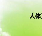 人体正常体温是多少度