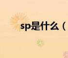 sp是什么（说一说sp是什么的简介）