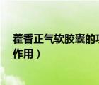 藿香正气软胶囊的功效与作用1（藿香正气软胶囊的功效与作用）
