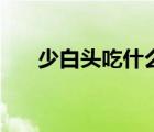 少白头吃什么变黑（少白头怎么变黑）