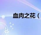 血肉之花（说一说血肉之花的简介）