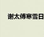 谢太傅寒雪日内集的意思（内集的意思）