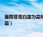 蒹葭苍苍白露为霜所谓伊人在水一方赏析（蒹葭苍苍白露为霜）