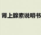 肾上腺素说明书药理作用（肾上腺素说明书）