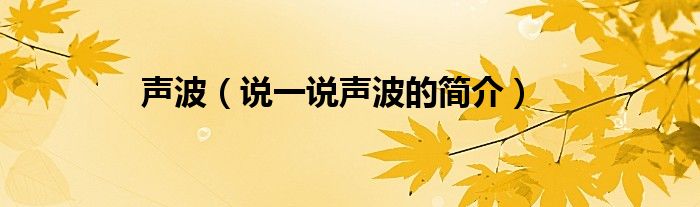声波（说一说声波的简介）